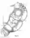 Fig. 06 - Infant holder