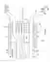 Fig. 08 - Basket catheter with improved spine flexibility