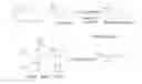 Fig. 01 - INJECTION-LESS METHODS TO DETERMINE-CROSS-SECTIONAL AREAS USING MULTIPLE FREQUENCIES