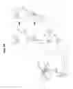 Fig. 09 - X-ray imaging apparatus, method of controlling the same, and x-ray imaging system