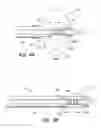 Fig. 07 - Compensation assembly for fluid injection line of intravascular catheter system
