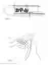 Fig. 04 - Using force sensor to give angle of ultrasound beam