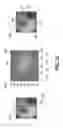 Fig. 27 - Systems and methods to correct for uncommanded instrument roll