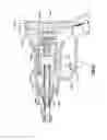 Fig. 20 - Digital-based medical devices