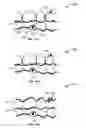 Fig. 22 - Orthodonitic appliance with precision cutout