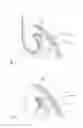 Fig. 35 - DEVICES AND METHODS FOR LUNG VOLUME REDUCTION