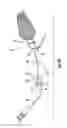 Fig. 10 - SURGICAL TOOL AND METHOD
