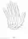 Fig. 02 - Implant for a bone joint
