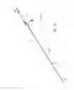 Fig. 02 - Stent delivery system with pusher assembly