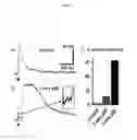 Fig. 02 - METHODS OF TREATING AND PREVENTING/REDUCING THE LIKELIHOOD OF MESIAL TEMPORAL LOBE EPILEPSY (TLE)