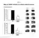 Fig. 07 - PHARMACEUTICAL COMPOSITION FOR STROKE TREATMENT BASED ON AMPK INHIBITION