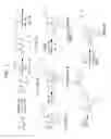 Fig. 02 - Analgesic therapeutic and method, 1-(3-4(((1 R,3S,5S)-adamantan-1-yl)(phenyl)methyl)propyl)-4-methylpiperazine and salts thereof