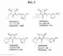 Fig. 04 - SELECTIVE CALCIUM CHANNEL ANTAGONISTS