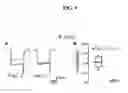 Fig. 09 - SELECTIVE CALCIUM CHANNEL ANTAGONISTS