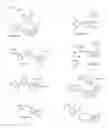 Fig. 08 - Small molecule inhibitors of EGFR and PI3K