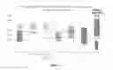 Fig. 05 - METHOD OF TREATING PATIENTS COADMINISTERED A FACTOR Xa INHIBITOR AND VERAPAMIL