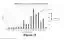 Fig. 10 - Methods of reducing mammographic breast density and/or breast cancer risk