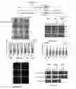 Fig. 07 - Tumor suppressor TET1 and uses thereof