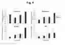 Fig. 07 - Methods and compositions for modulating angiogenesis and vasculogenesis