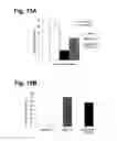 Fig. 09 - Methods and compositions for modulating angiogenesis and vasculogenesis