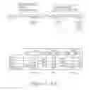 Fig. 02 - Mesenchymal-like stem cells derived from human embryonic stem cells, methods and uses thereof