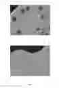 Fig. 02 - Pharmaceutical composition and methods for the prevention and/or treatment of using artificial bacterial colonization