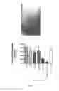 Fig. 06 - Pharmaceutical composition and methods for the prevention and/or treatment of using artificial bacterial colonization