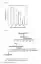 Fig. 04 - Composition containing a bean extract for improving blood circulation and vascular health and method for improving blood circulation and vascular health