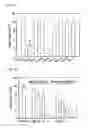 Fig. 06 - Composition containing a bean extract for improving blood circulation and vascular health and method for improving blood circulation and vascular health
