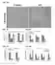 Fig. 07 - FOXM1 modulators and uses thereof