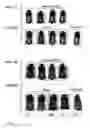 Fig. 07 - Compounds and methods for increasing hair growth