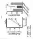 Fig. 22 - PHARMACEUTICAL COMPOSITION FOR PREVENTING OR TREATING STRESS-RELATED DISEASE, INCLUDING DISC1 PROTEIN OR GENE ENCODING THE SAME