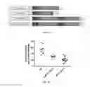 Fig. 02 - Methods and compositions for treating cancer
