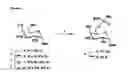 Fig. 01 - Synthetic antigen constructs against campylobacter jejuni