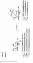 Fig. 04 - Synthetic antigen constructs against campylobacter jejuni