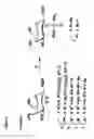 Fig. 06 - Synthetic antigen constructs against campylobacter jejuni