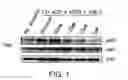 Fig. 02 - Methods and compositions for inhibiting Akt3