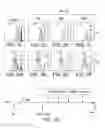 Fig. 04 - Methods and compositions for inhibiting Akt3