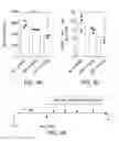 Fig. 06 - Methods and compositions for inhibiting Akt3