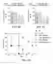 Fig. 09 - Methods and compositions for inhibiting Akt3