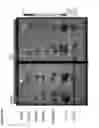 Fig. 33 - Conjugated lipomers and uses thereof