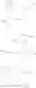 Fig. 372 - Conjugated lipomers and uses thereof
