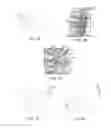 Fig. 02 - Moldable bone graft compositions