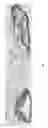 Fig. 09 - Moldable bone graft compositions