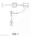 Fig. 02 - COLLECTION OF AMNIOTIC FLUID FOR WOUND HEALING