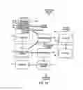 Fig. 75 - Medical treatment system and methods using a plurality of fluid lines