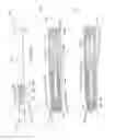 Fig. 38 - Automatic injection device for administration of high viscosity medication