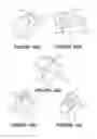 Fig. 08 - Deformable insert for low pressure patient interface