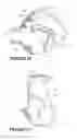 Fig. 40 - Deformable insert for low pressure patient interface