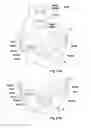 Fig. 76 - Adaptor for respiratory assistance systems